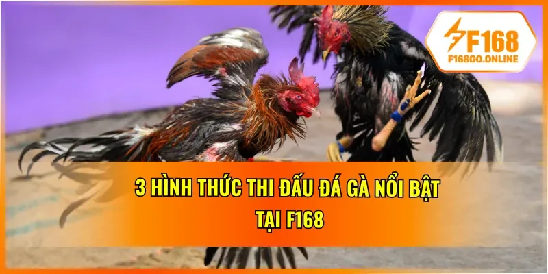 Đá gà F168 ở 3 bộ môn thi đấu cơ bản