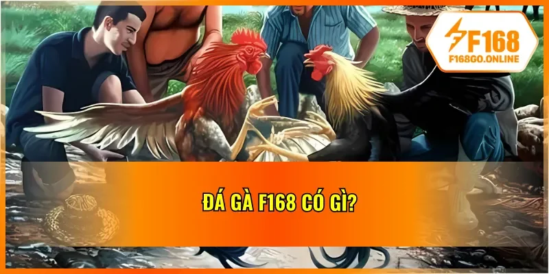 Giới thiệu về đá gà F168