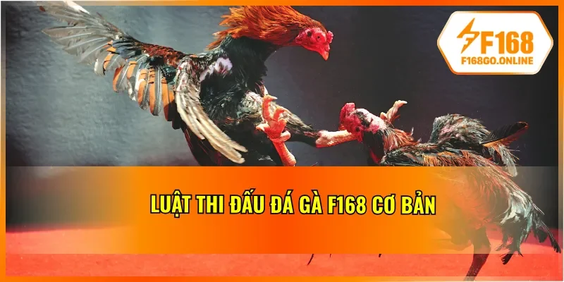 Nguyên tắc cá cược đá gà tại F168